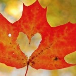 Essential Feng Shui Tips For A Fabulous Fall! 